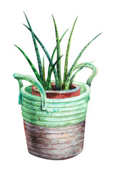 Watercolor houseplant. A long plant similar to aloe in a pot and planter