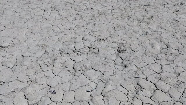 Dried mud on beach at Rio Lagartos Biosphere Reserve in Yucatan, Mexico. Example of climate change, hot weather, ecology and environmental problems