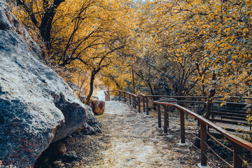 Avenue and rocky path leading to heaven and hell cave in autumn (cennet cehennem), yellow leaves