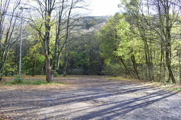 Waldparkplatz im Herbst