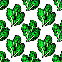 Seamless pattern with hand drawn lettuce. Suitable for packaging, wrappers, surface and fabric design. PNG illustration