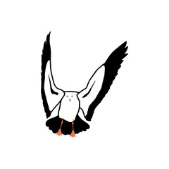 seagull logo icon designs vector