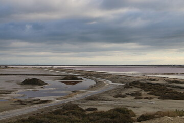 Camargue - Les Salins