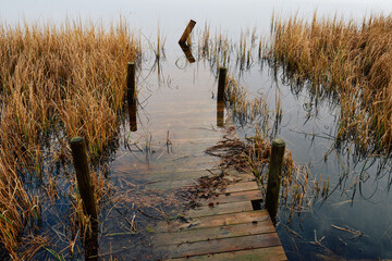 A sunken pier in Steffensrudtjernet Lake, Toten, Norway.
