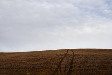 The landscape of rural Toten, Norway, a day in November.