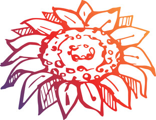 Thanksgiving hand drawn gradient sunflower. PNG illustration