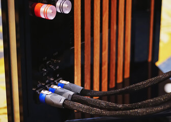 Close up audio jacks cable plugged into high end speakers.  XLR audio cable.                       ...