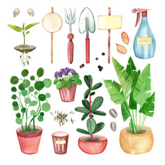 A set of watercolor illustrations. Gardening. Water diffuser, tools for working in the ground, indoor plants, seeds. All elements are hand-painted For printing, packaging, designers
