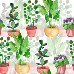 Seamless pattern of indoor plants: ficus, palm, violet, potted money tree hand-painted in watercolor on a white background. Suitable for printing on fabric, design, scrapbooking, books
