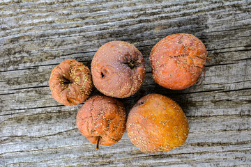 rotten apples on the table in the garden .
