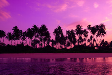 Pink sunset on tropical ocean beach with coconut palm trees silhouettes