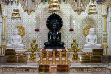 Jina Images from Rohtak's Gajaratha DIgamabar Jain Mandir