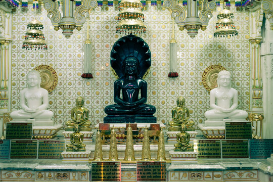 Jina Images from Rohtak's Gajaratha DIgamabar Jain Mandir