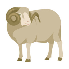 Cartoon domestic animal vector illustration. Farm animal sheep isolated on white background. Domestic animals, pets, farming, concept