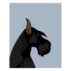 Giant Schnauzer on a blue background. Vector image. Logo.