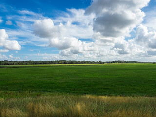Freshly mowed meadow with beautiful clouds