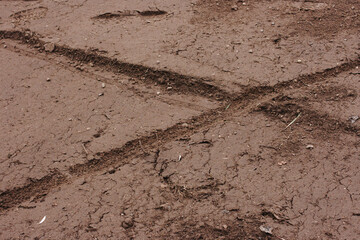 Brown sand and mud covered by traces of a bicycle.