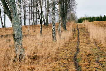 A path leading through the cultural landscape of rural Toten, Norway, a day in November.