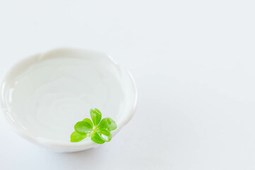 白い背景の水に挿したペペロミアの葉