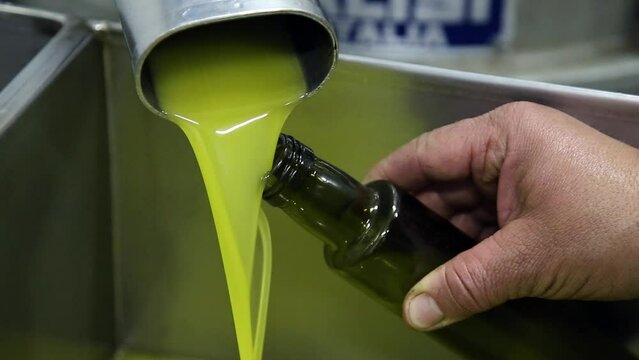 The process of olive cleaning and defoliation in a modern italian oil mill. Oil Production. Fresh extra virgin olive oil