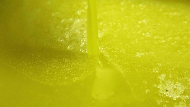 The process of olive cleaning and defoliation in a modern italian oil mill. Oil Production. Fresh extra virgin olive oil