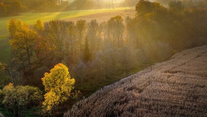 Jesień z lotu ptaka o zachodzie słońca - dron dji mavic 3 classic i kamera hasselblad © Michal45
