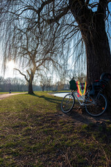 Paysage reposant d'un vélo au pied d'un saule pleureur, au coucher du soleil lors d'une journée...