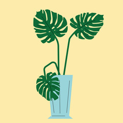 potted monstera plant pot flat style vector illustration. Blue vase, green exotic flower 
