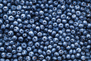 Water drops on ripe sweet blueberry. Fresh blueberries background with copy space for your text. Vegan and vegetarian concept. Macro texture of blueberry berries.Texture blueberry berries close up