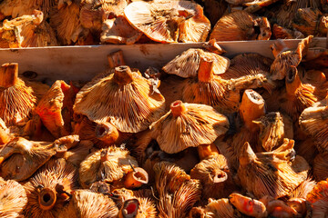 dried mushrooms in a basket