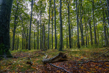 Wandern im Lausitzer Gebirge 3