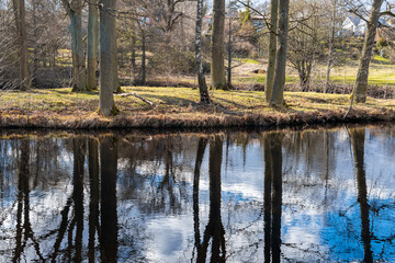 Beautiful reflection of nature, trees in water. Spring atmosphere, sun and blue sky reflection outdoors. 