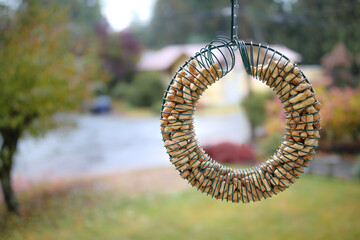 Hanging bird feeder wreath outside of window on rainy day. Bird feeder filled with peanut shells with defocused residential street and foliage. Used for large birds and squirrels. Selective focus.