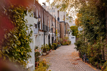London, UK - 22 October 2022. Kynance Mews in the Royal Borough of Kensington and Chelsea. Autumnal foliage on the outside of buildings.