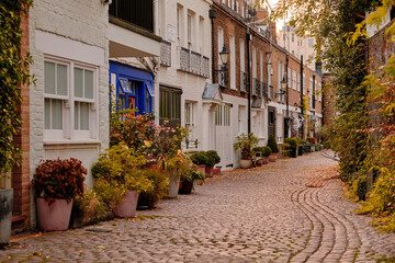 Fototapeta na wymiar London, UK - 22 October 2022. Kynance Mews in the Royal Borough of Kensington and Chelsea. Autumnal foliage on the outside of buildings.