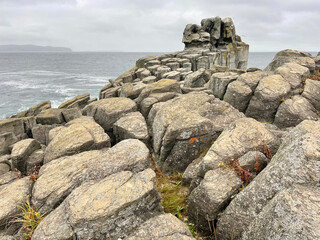 Bryusa Peninsula in autumn in cloudy weather. Russia, Primorsky Krai