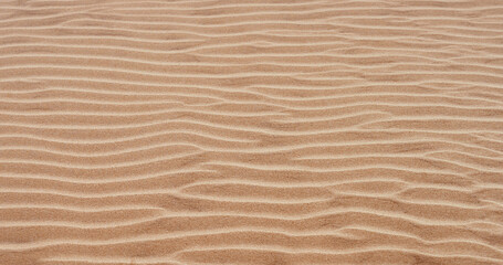Plakat Abstract sand wave pattern background. Banner with beach ripple texture. 