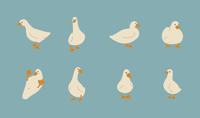 duck white 3 cute on a blue background, vector illustration