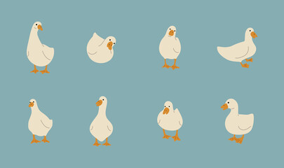 duck white 5 cute on a blue background, vector illustration