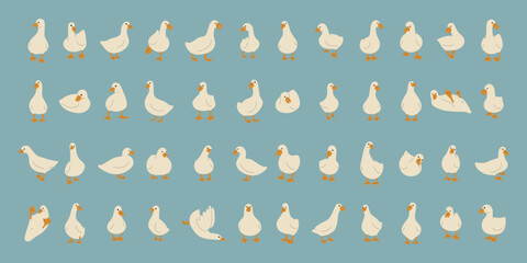 duck white collection 1 cute on a blue background, vector illustration