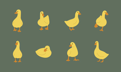 duck yellow 1 cute on a green background, vector illustration