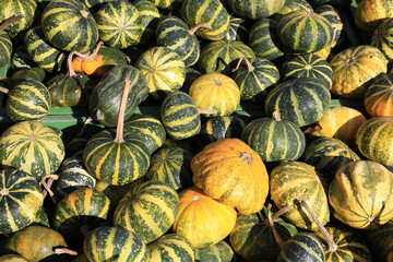 Fototapeta na wymiar Pile of pumpkins in sunny October