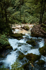 a waterfall makes its way through stones in forest, green trees and rocks, clear mountain water flows from above, mountain river