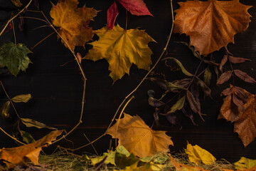 background of autumn leaves and straw and hay