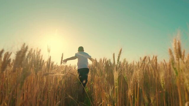Happy child runs with arms raised like airplane wings, childhood dream. Silhouette of boy running through field of wheat at sunset, child pilot runs in sun, child dreams of becoming an airplane pilot