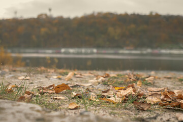 Calm autumn landscape. The beauty of nature. Autumn on the river bank.