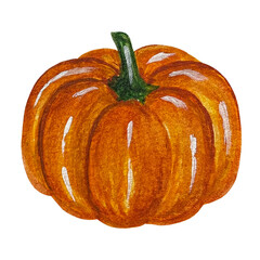 Small autumn pumpkin. Festival of vegetables and harvest
Watercolor clipart illustration. Tools: watercolor, Adobe Photoshop, Illustrator.
