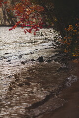 Bon Echo Provincial Park in Ontario, Canada. A spectacular landmark in North America alongside Mazinaw Lake. Autumn leaves and fall colors late in the season making for a beautiful landscape.