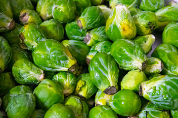 Brussels sprouts pile.  Brassica oleracea cabbage top view
