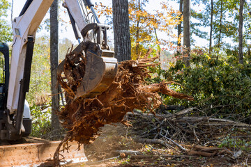 In course of landscaping land that has been cleared from roots for purpose housing development subdivision was cleared by tractor skid steers. - obrazy, fototapety, plakaty